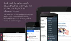 Flickr创始人新项目团